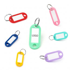 Multi-Color Plastic Identification Key Tags with Label Window